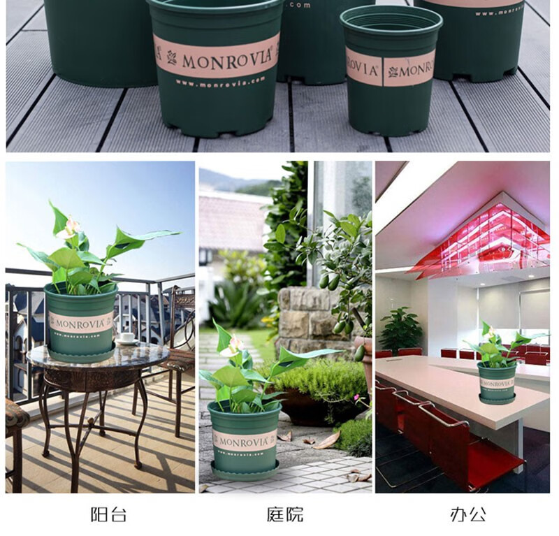 青意萱加仑花盆多肉花盆塑料树脂圆形创意种植盆栽绿萝兰花特大号花盆
