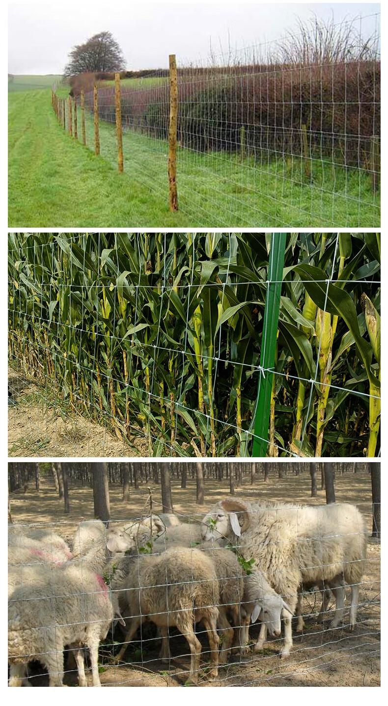 围栏网铁网热镀锌铁丝勾花网围栏养殖牛栏网拧花围网防护围栏网钢丝