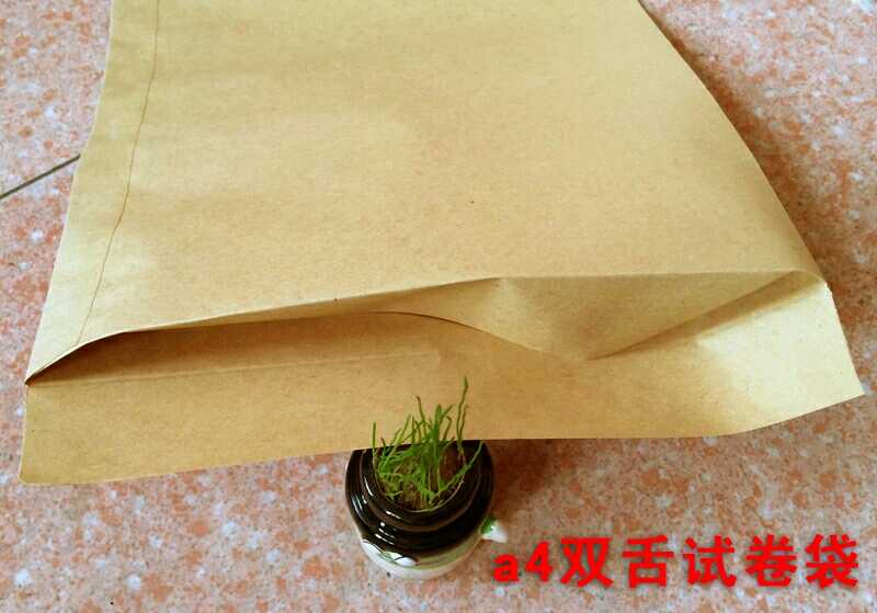 a4试卷袋党政考试卷密封袋考卷袋牛皮纸学生考卷袋配封条10个袋子10张