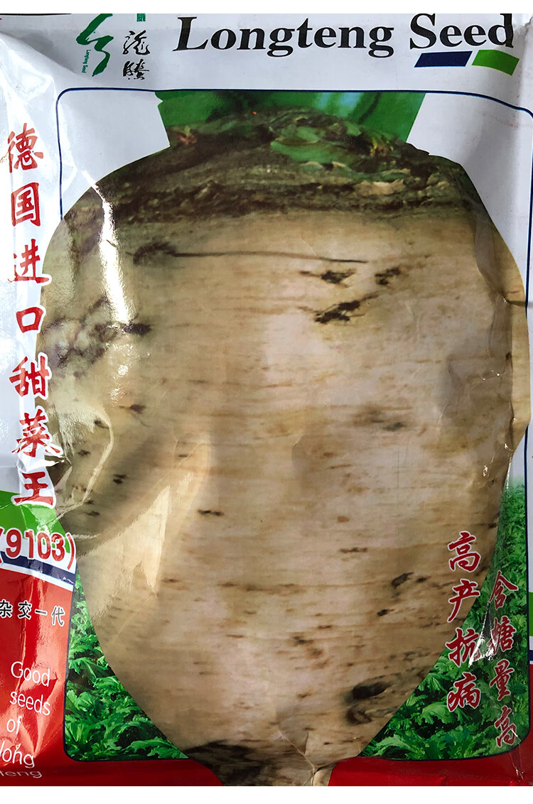 颜集卉德国特大甜菜王种子饲料甜菜种籽制糖甜菜种孑可食用含糖量高