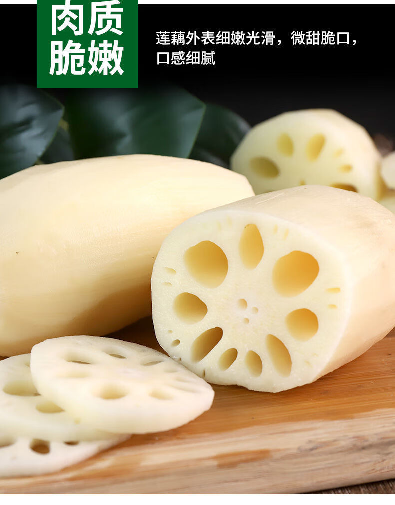 新鲜莲藕现挖九孔脆藕嫩藕莲藕尖脆嫩清炒凉拌湖北洪湖莲菜新鲜莲藕5