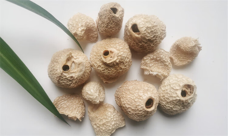 竹毛肚贵州竹荪帽壳农家山珍土特产50g竹荪盖竹菌盖100g