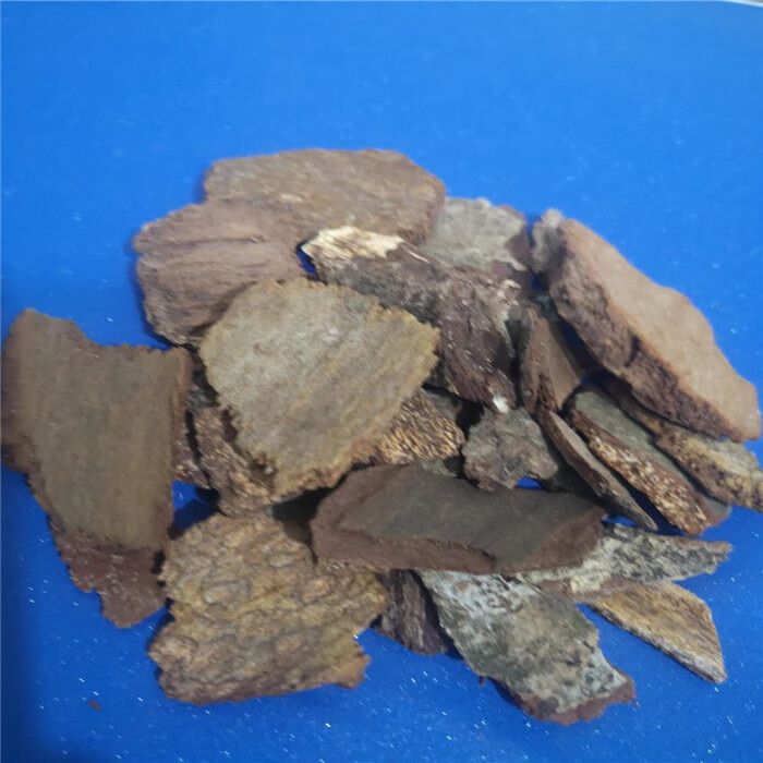 高山龙中药材 500克地风皮 追地风 钻地风 高山香