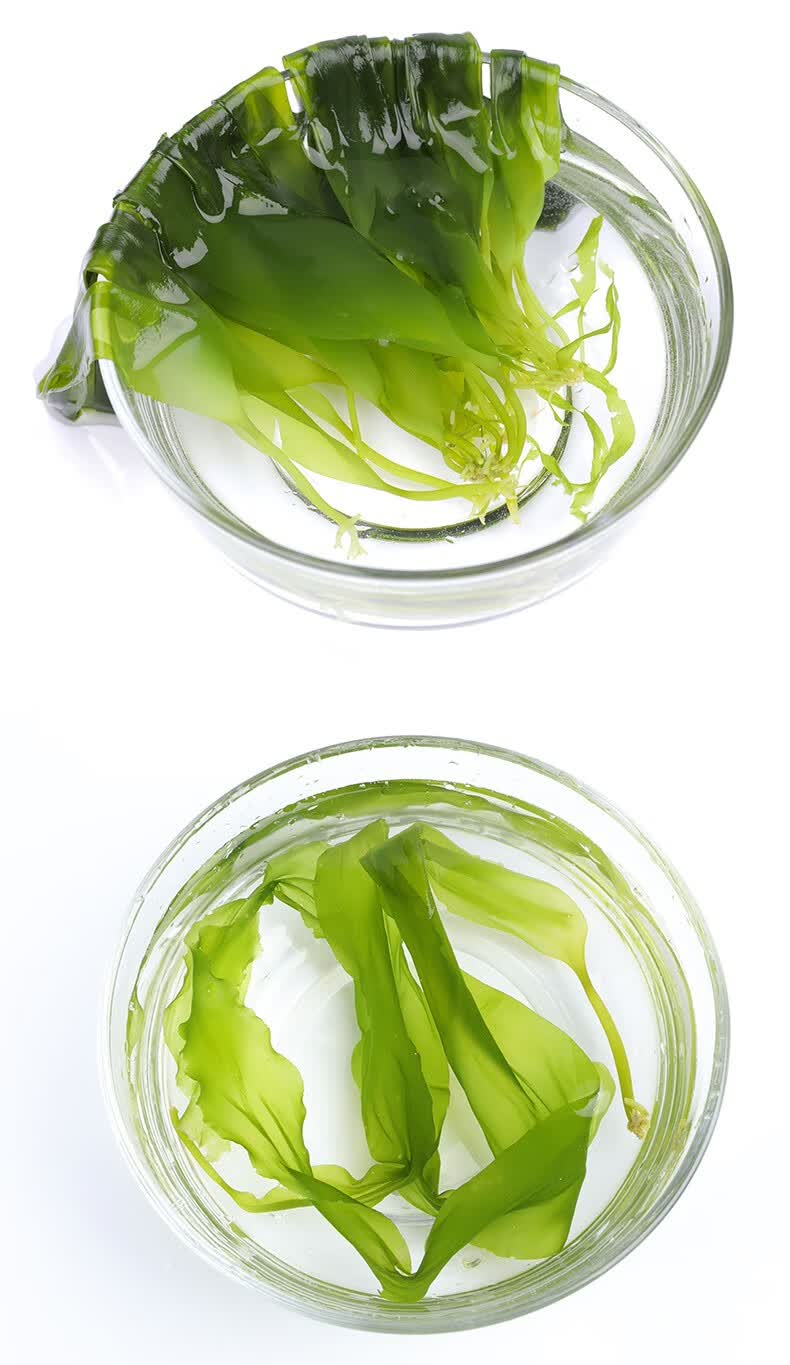 海带嫩芽海带芽新鲜盐渍小海带芽嫩苗3斤非干货火锅烫三秒嫩海带aa