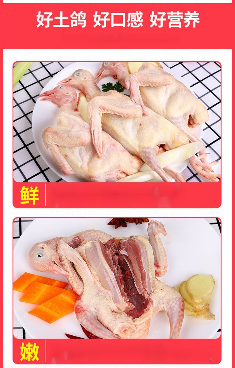 鸽子肉新鲜现杀乳鸽农家散养土鸽子元宝鸽煲汤新鲜乳鸽5只中秋节团建