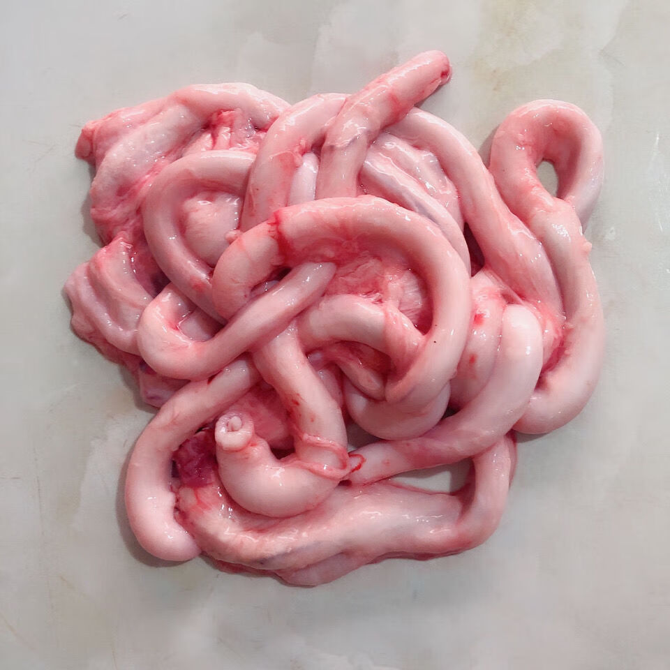 当日新鲜1斤猪鞭冷冻生鲜2斤农家土猪鞭5斤精品土猪鞭当日新鲜现货绝