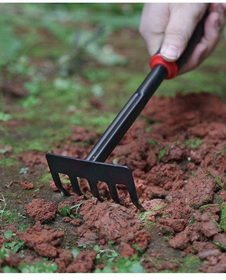 工具三件套小耙子小锄头铁锹农用赶海园艺种菜多肉盆栽种植养花松土