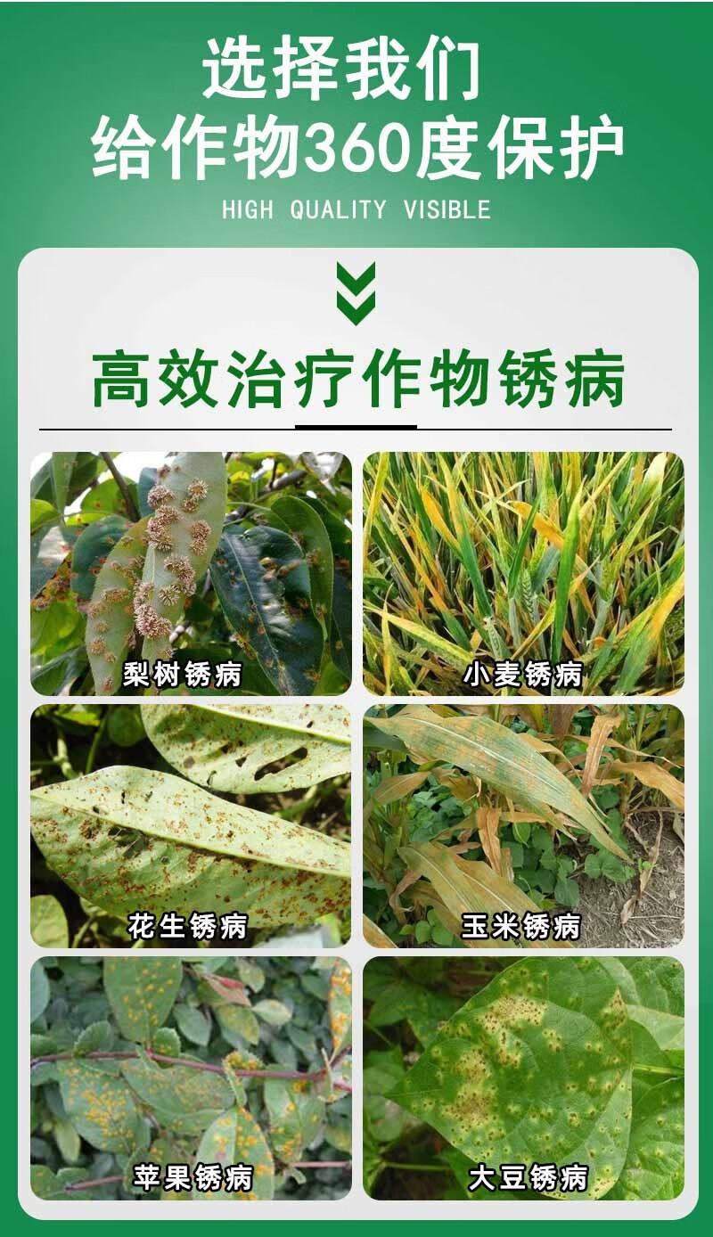 农药苯甲嘧菌酯杀菌剂白粉病梨树锈病专用药大蒜小麦辣椒葡萄苹果100