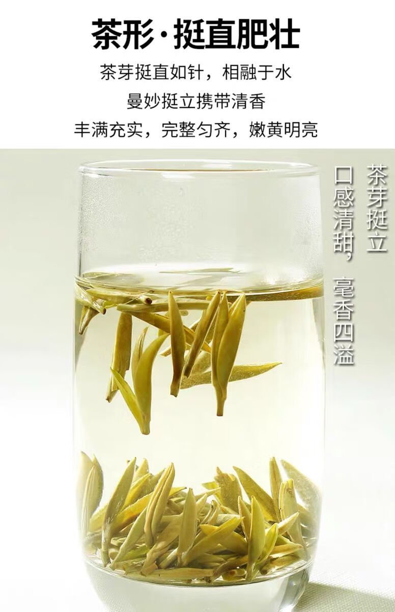 白毫银针新茶福建白茶大白毫正宗头采50克/250克礼盒装 250克-简易方