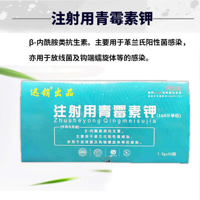 兽用青霉素粉兽药品160万注射用青霉素钾猪牛羊鸡兔犬