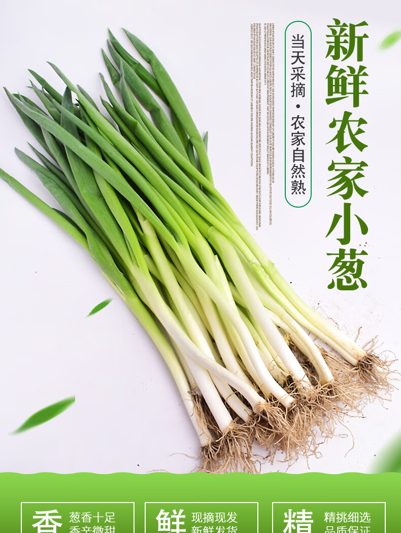 东北小葱 嫩发芽葱白露葱香葱 蘸酱菜 4斤【图片 价格 品牌 报价】