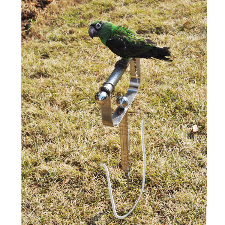 鹦鹉鸟类用品外出站架架子 玩具手持落地两用外出支架