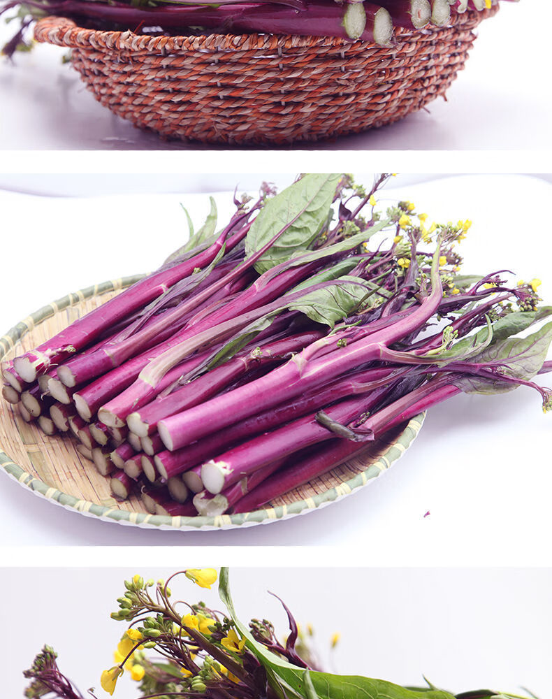 湖北红菜苔新鲜现摘当季蔬菜紫菜苔菜心农家自种武汉特产青菜批发半斤