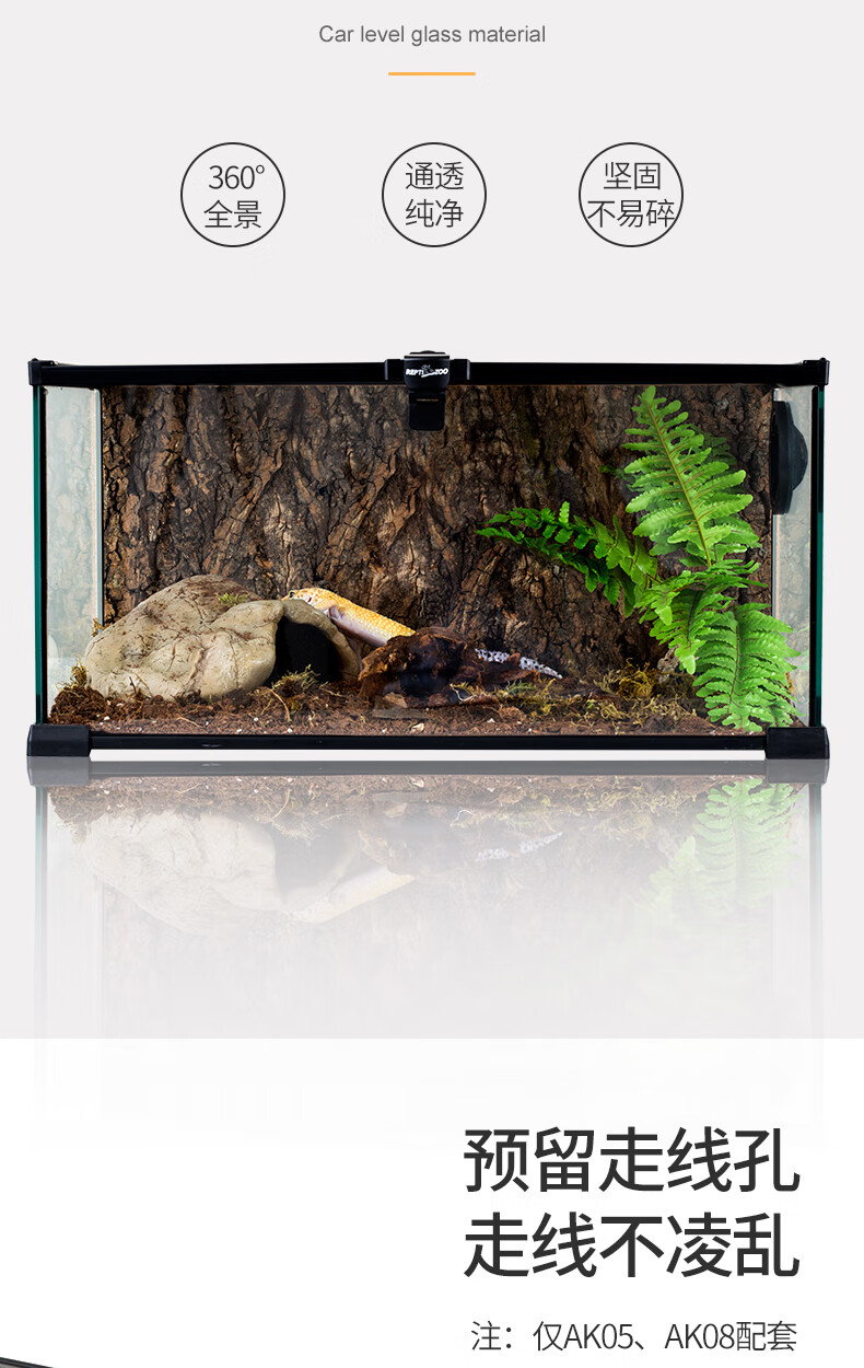 蜥蜴爬宠爬虫刺猬箱角蛙饲养箱盒造景缸守宫 睫角套装 现货