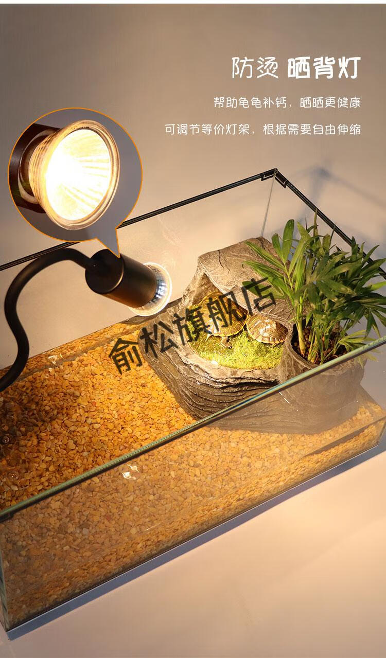 箱小型养乌龟常备缸生态鱼缸屋造景小乌龟别墅屋白色豪华套餐14件套