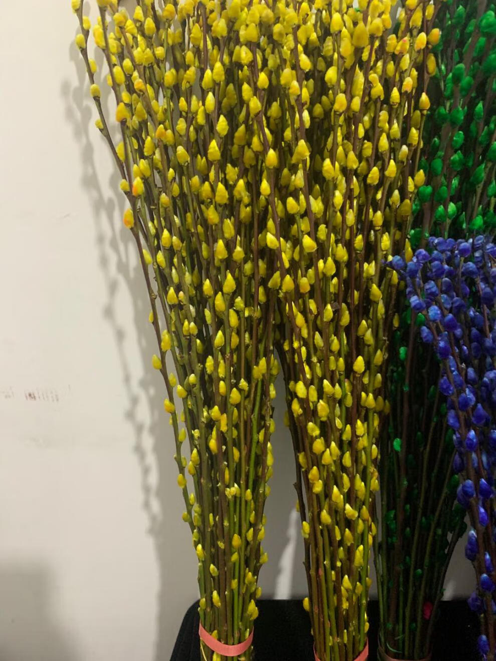 曼筠银柳真花年宵花卉鲜枝水养干花耐寒装饰室内客厅办公室 【手描