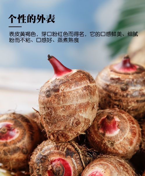 小香芋5斤正宗红芽芋头艿毛芋红嘴芋头农家小芋粉香糯3斤 【精挑品质