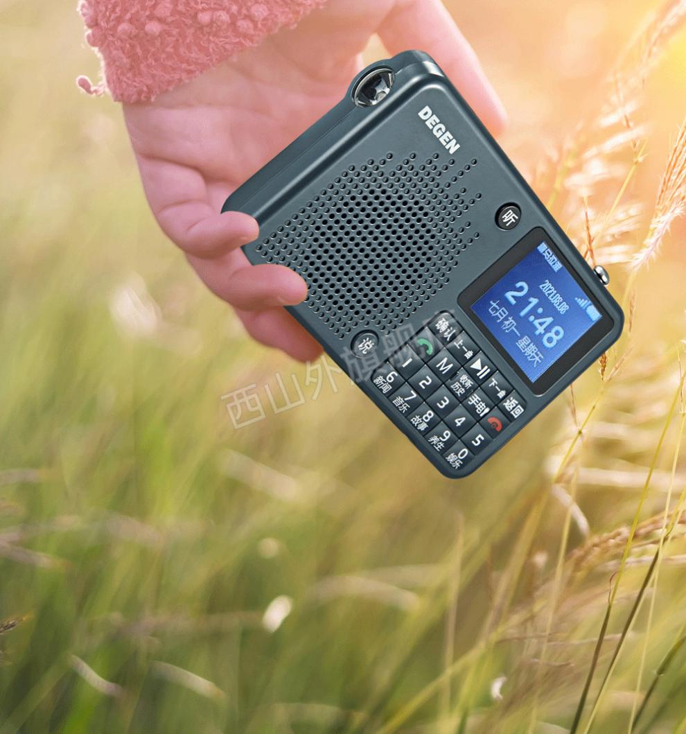 喜马拉雅收音机 degen/德劲 de666新版4g智能网络喜马拉雅tf卡照明fm