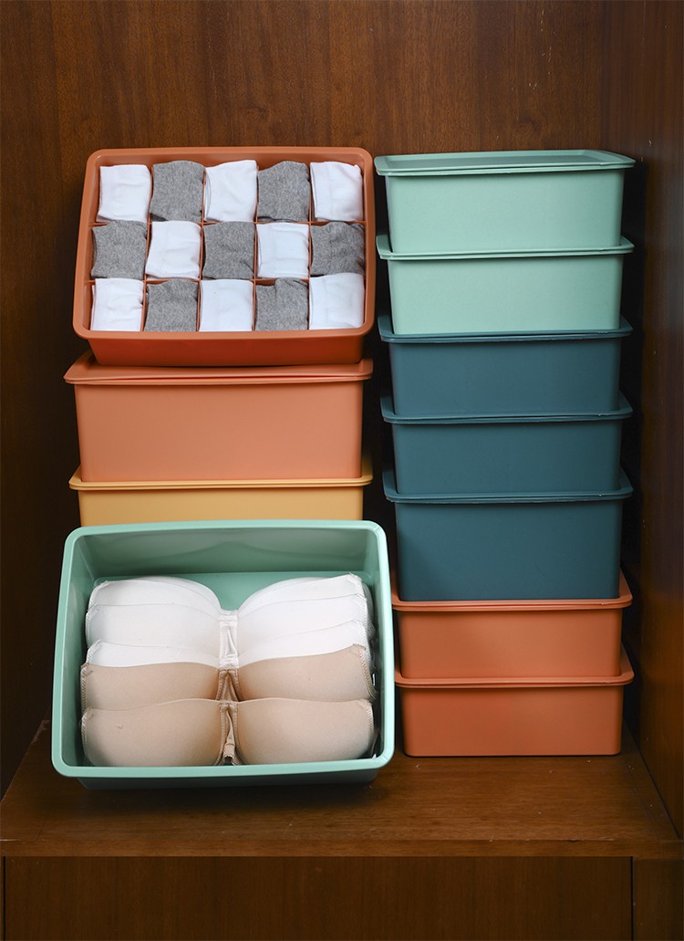 卡蔓派内衣收纳盒女家用抽屉内裤袜子分格神器衣柜宿舍整理箱内裤三