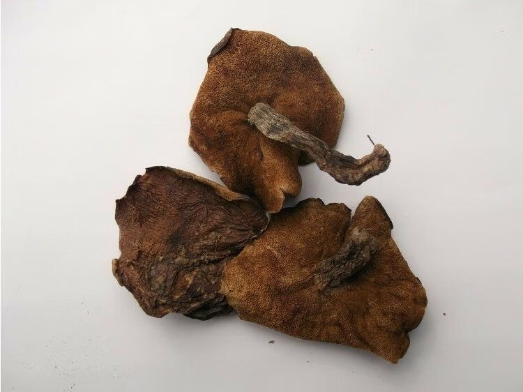 蘑菇松菇山饿子娥子松饿肉蘑粘蛾子粘团子松菇250g 半斤【山东松蘑】