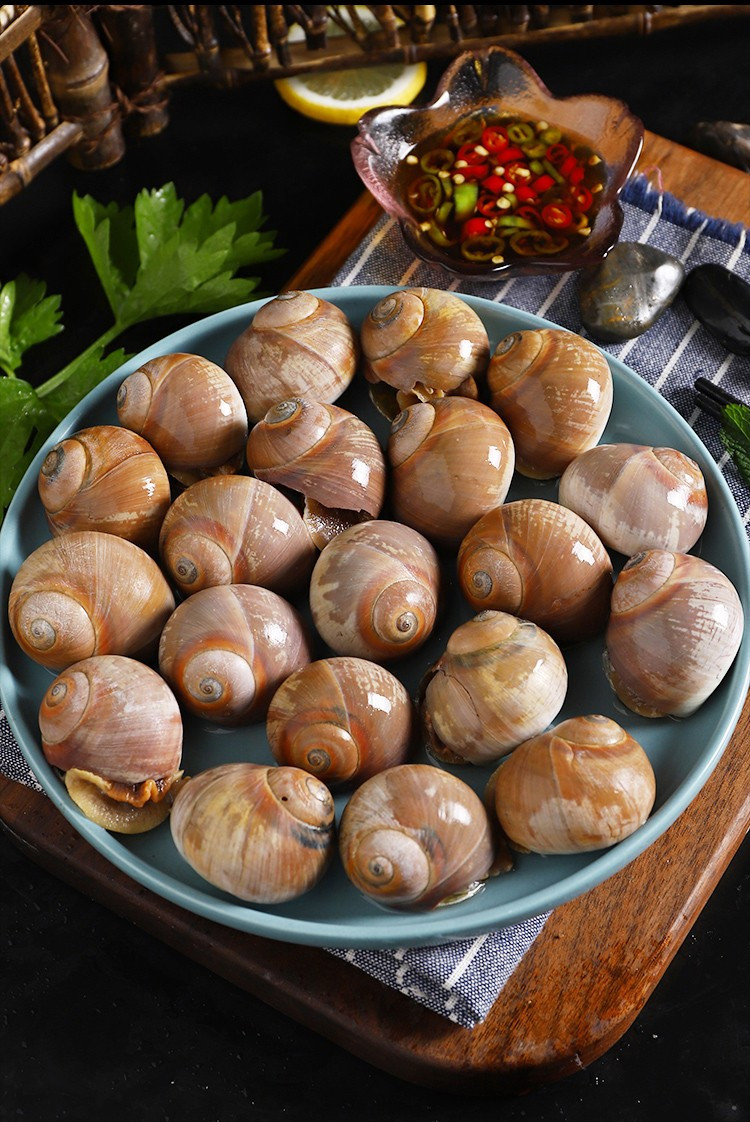 现捕大香螺猫眼1000g红岛红香螺肚脐螺海螺螺玉螺生鲜贝类海鲜水产