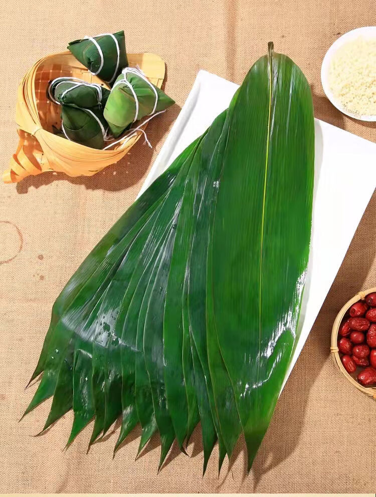 粽叶新鲜现摘家用四季大号棕叶子箬叶野生包粽子粽叶干粽子叶大叶