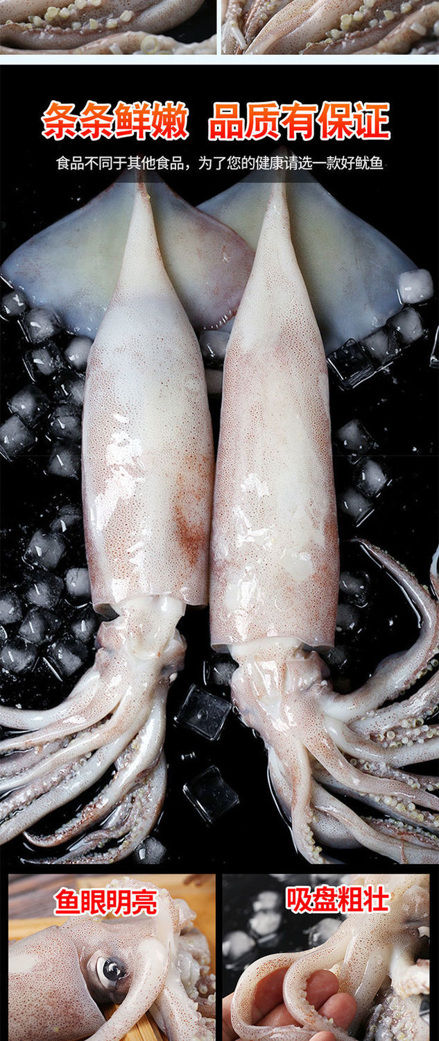 新鲜鱿鱼10斤整只冷冻深海大鱿鱼整箱批发海鲜烧烤火锅食材鱿鱼花大号