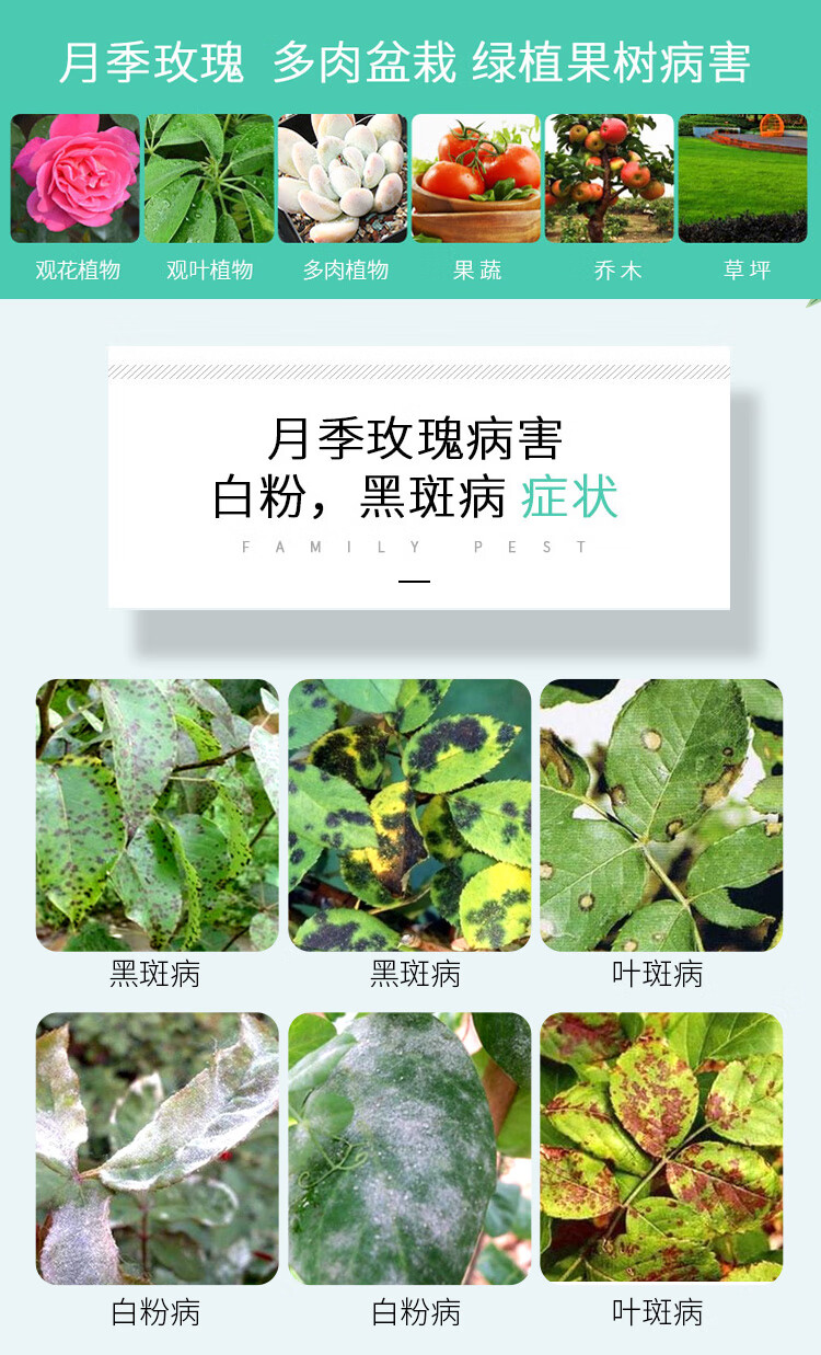 多菌菌灵剂多肉植物黑斑病炭疽白粉病根腐专用药月季花常用药100g