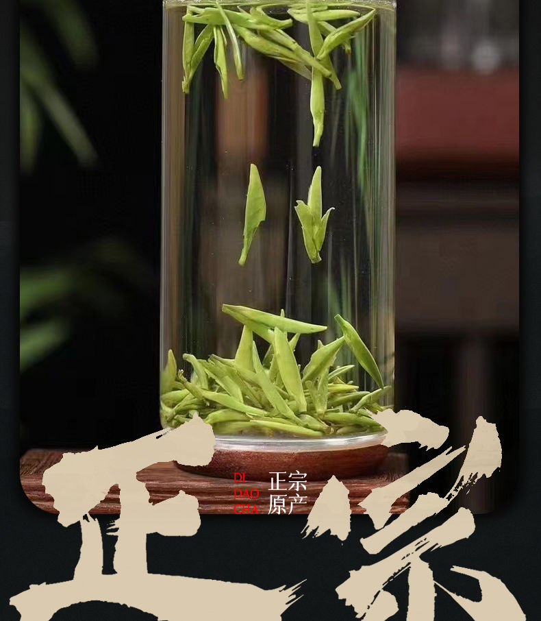 2022新茶兰韵雀舌绿茶颗颗芽头嫩芽明前头采竹叶茶正