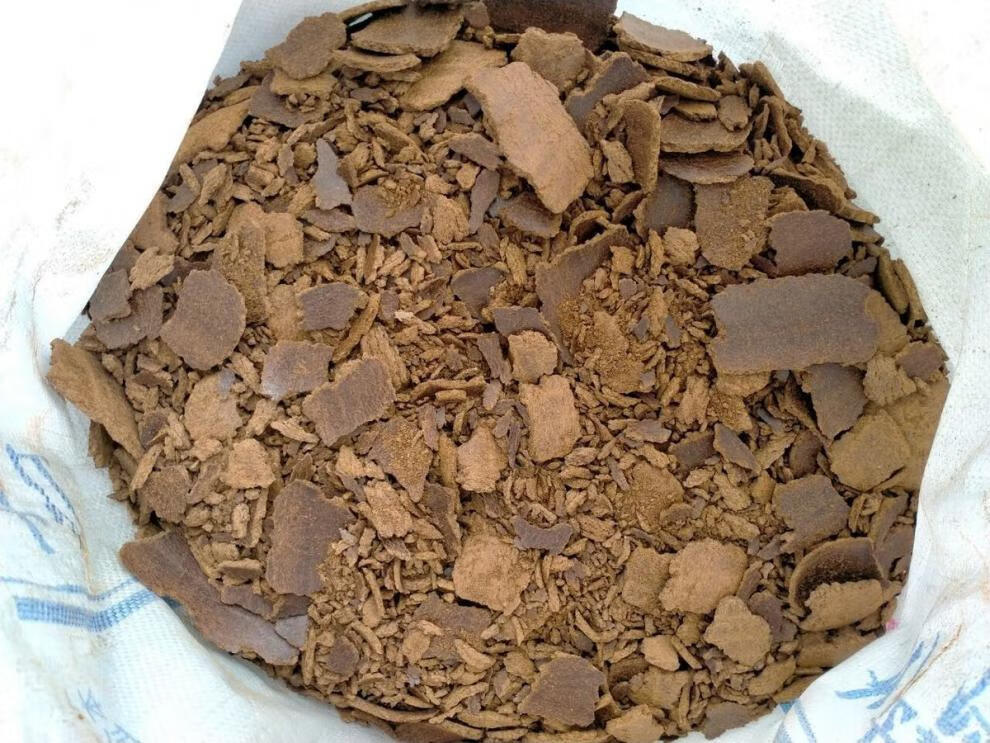 菜籽饼窝料菜籽饼一件5斤钓鱼打窝鱼饵钓饵种菜养花家畜禽饲料配料
