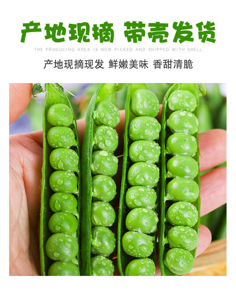 精选果蔬豌豆新鲜云南带壳青豆角粒农家蔬菜水果甜豆荚嫩5斤当季整箱1