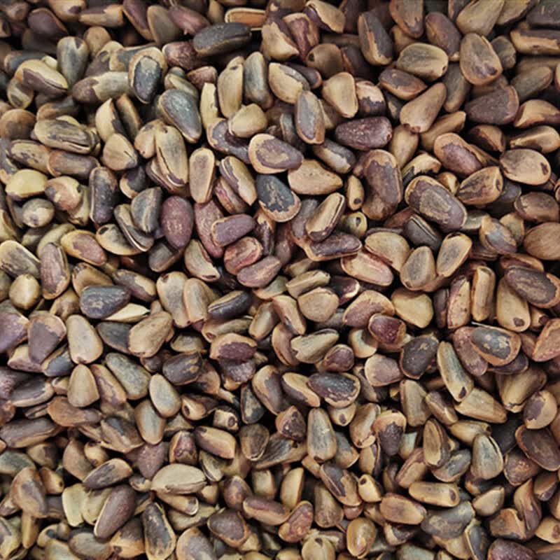 晨臻 黑龙江新货东北红松籽开口红松子大粒手剥原味非油炸坚果 原味炒