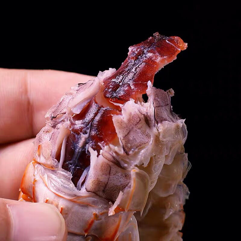 皮皮虾鲜活熟冻虾爬子带膏黄虾姑爬爬虾全母琵琶虾海鲜水产克雷蒙