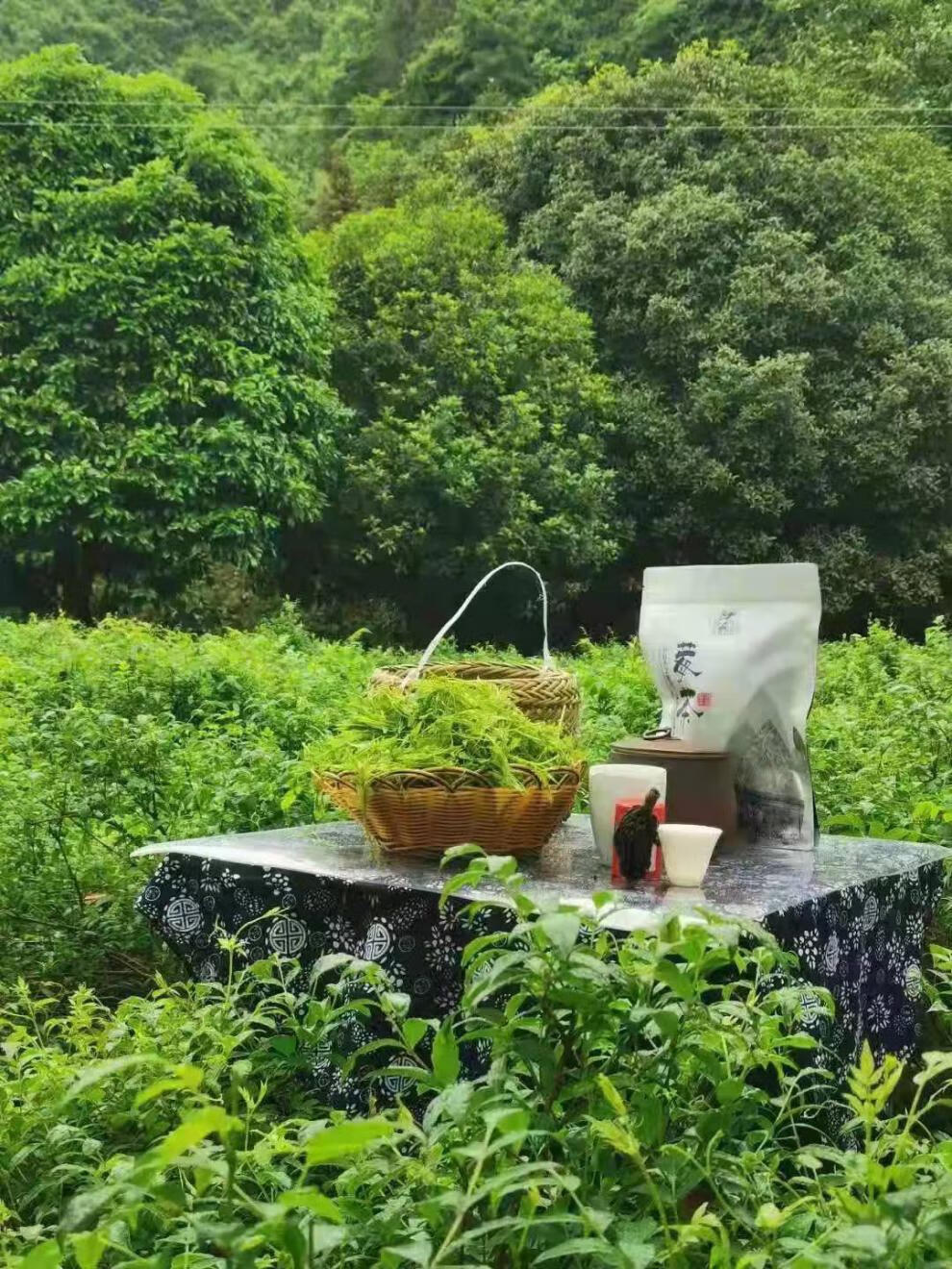 京選好貨莓茶張家界野生高山莓茶特級土家龍鬚茅巖嫩芽尖長壽藤茶500g