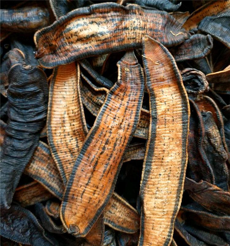 伟博中药材也生水蛭蚂蟥干 宽体金线水蛭蚂蟥干品干货100克可磨粉 500