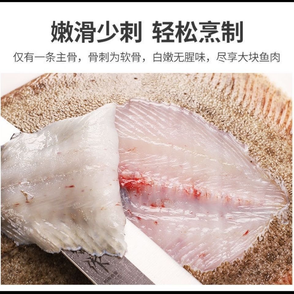 新鲜多宝鱼比目鱼鲜活冷冻乌蒙蕴色每条9两到11斤3条