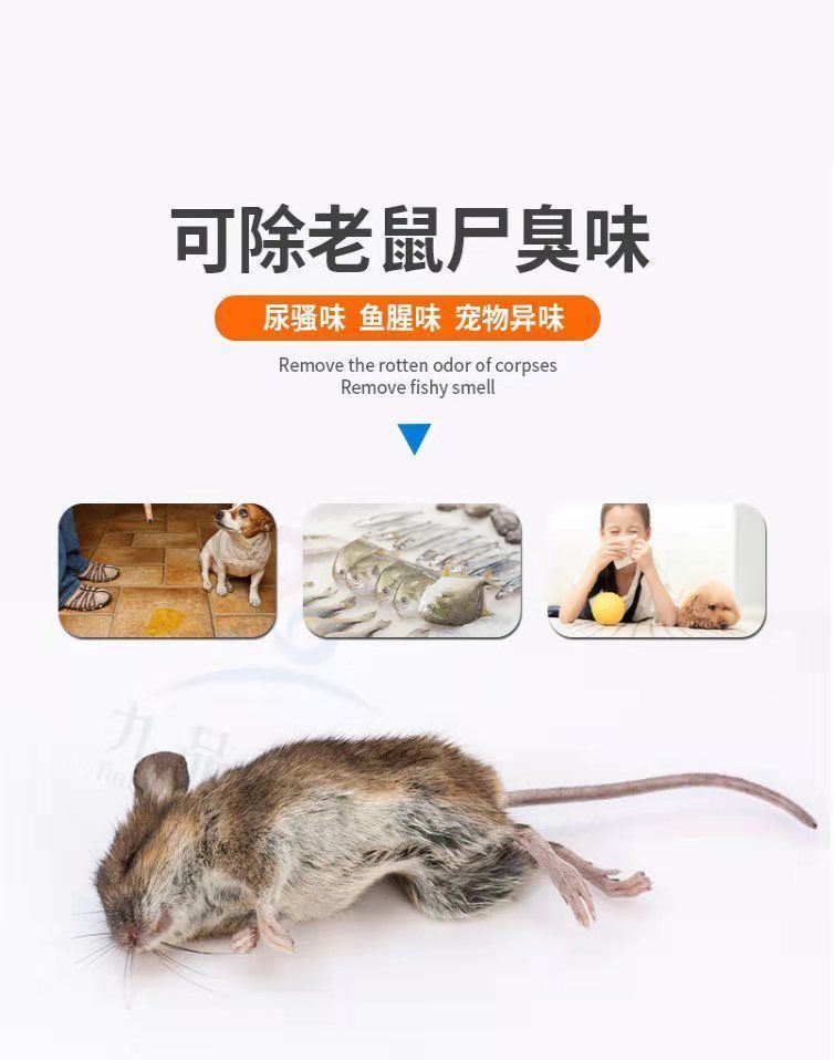 2022新款老鼠尿除臭剂办公室天花板汽车内发动机舱去除死老鼠臭味腐烂