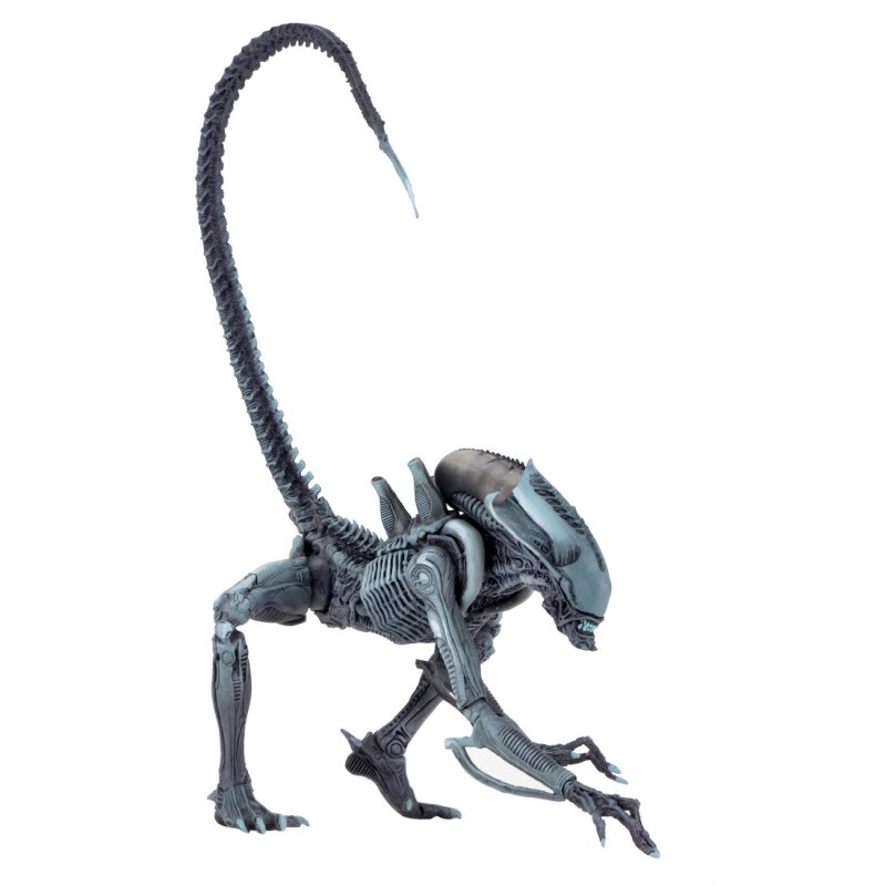 neca 犀牛异形 kenner致敬版 avp 契约异形 7寸可动人偶模型 2波蓝