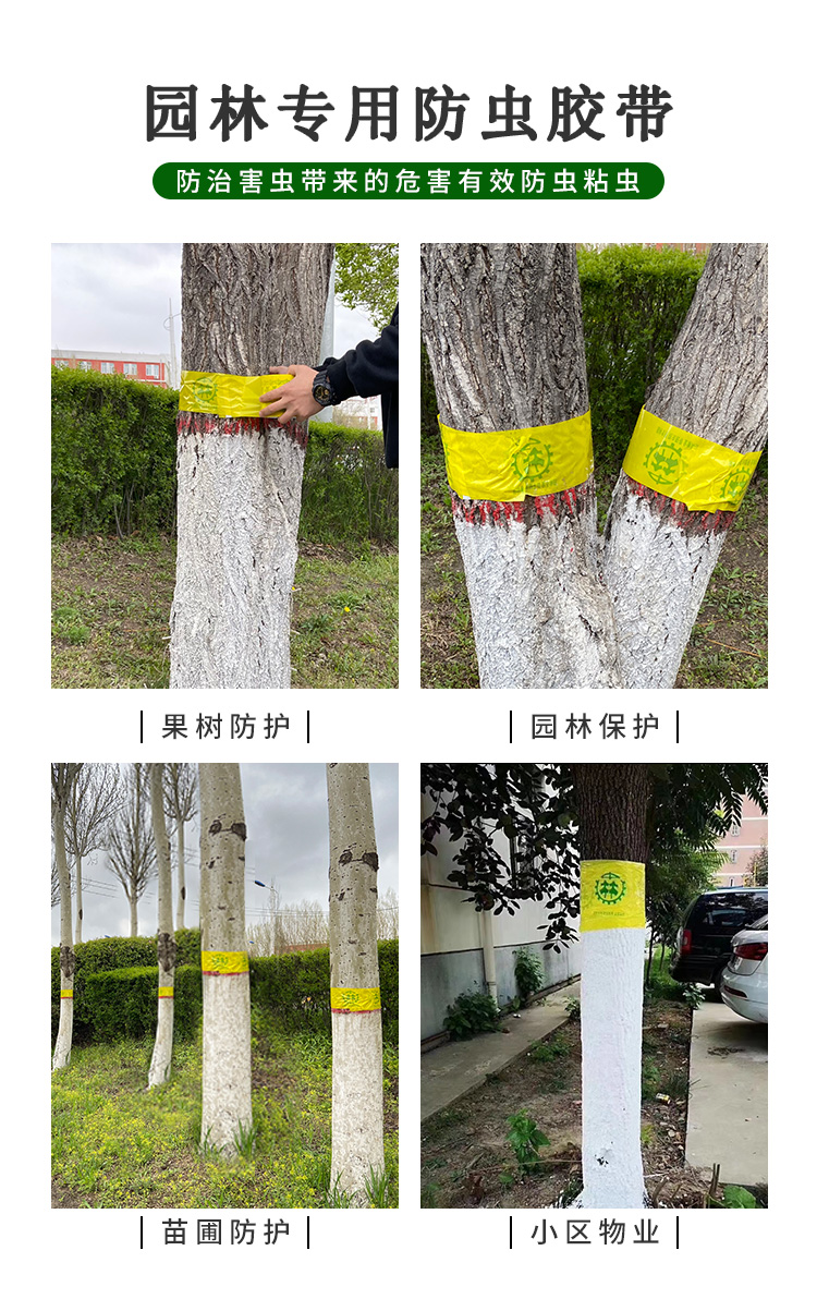 6015树木防虫胶带金康科技黏虫 粘虫 林业专用药物 果树园林 10cm