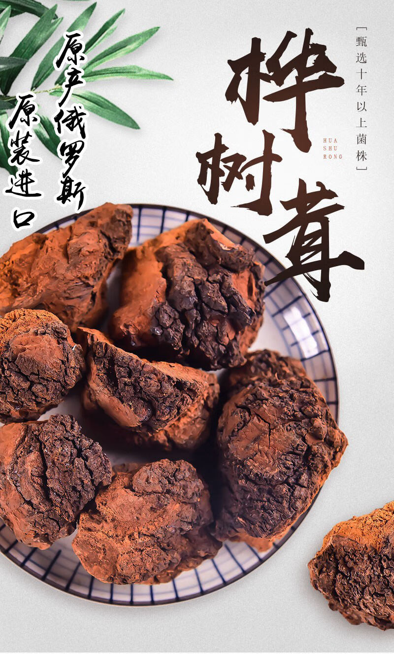 桦树茸俄罗斯桦树茸桦褐孔菌白桦树茸500克桦树茸500克碎颗粒