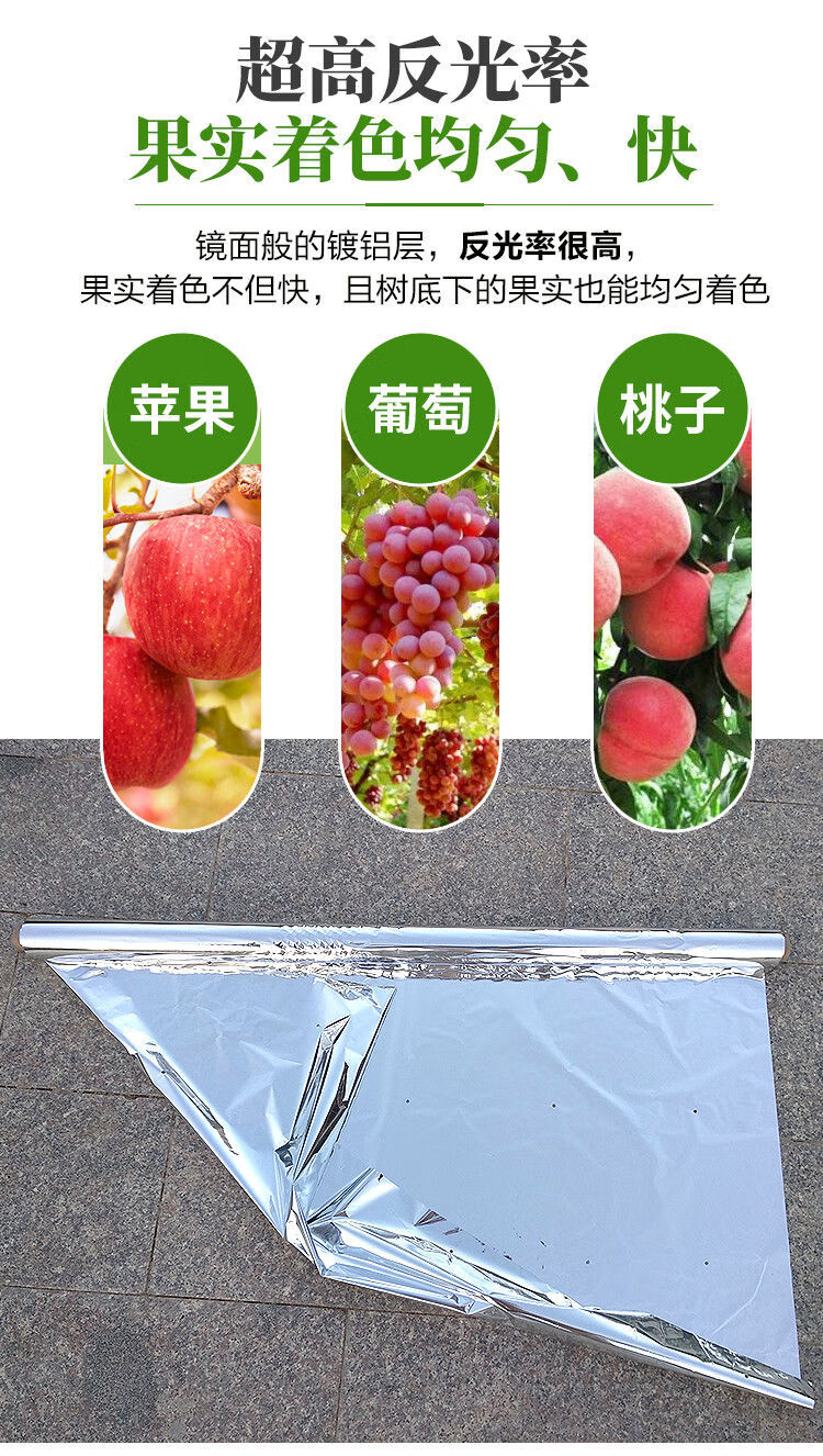 aseblarm农用果树反光膜苹果葡萄桃子樱桃地果园专用增色上色高亮大棚
