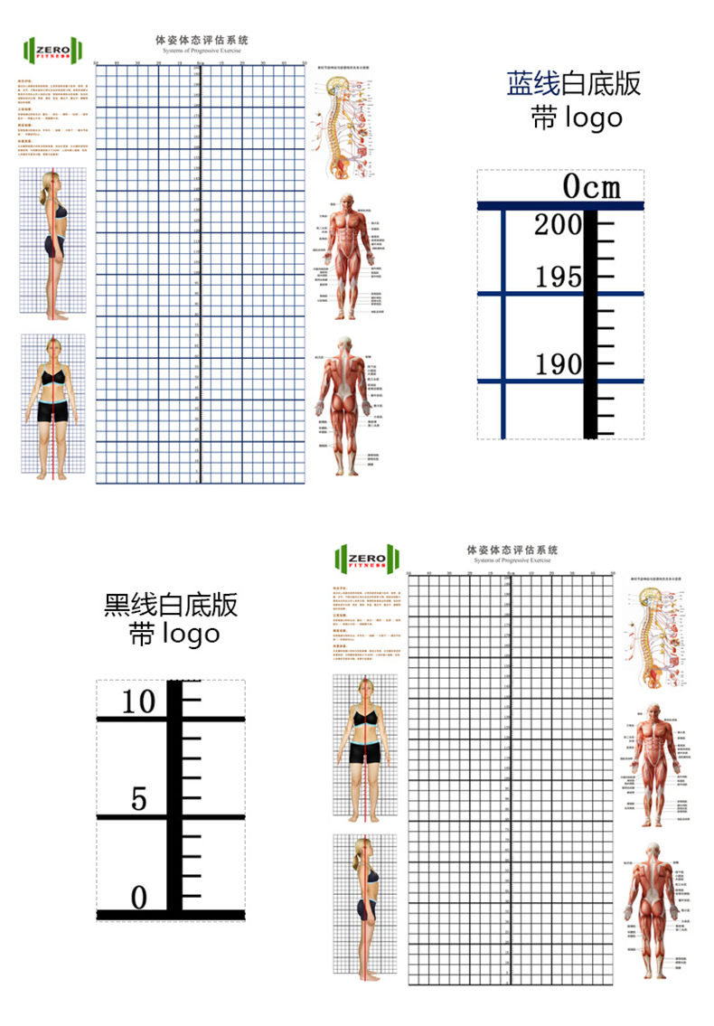 体态评估表健身房体测网格纸瑜伽馆私教姿势体位背景墙体姿图 粉105*