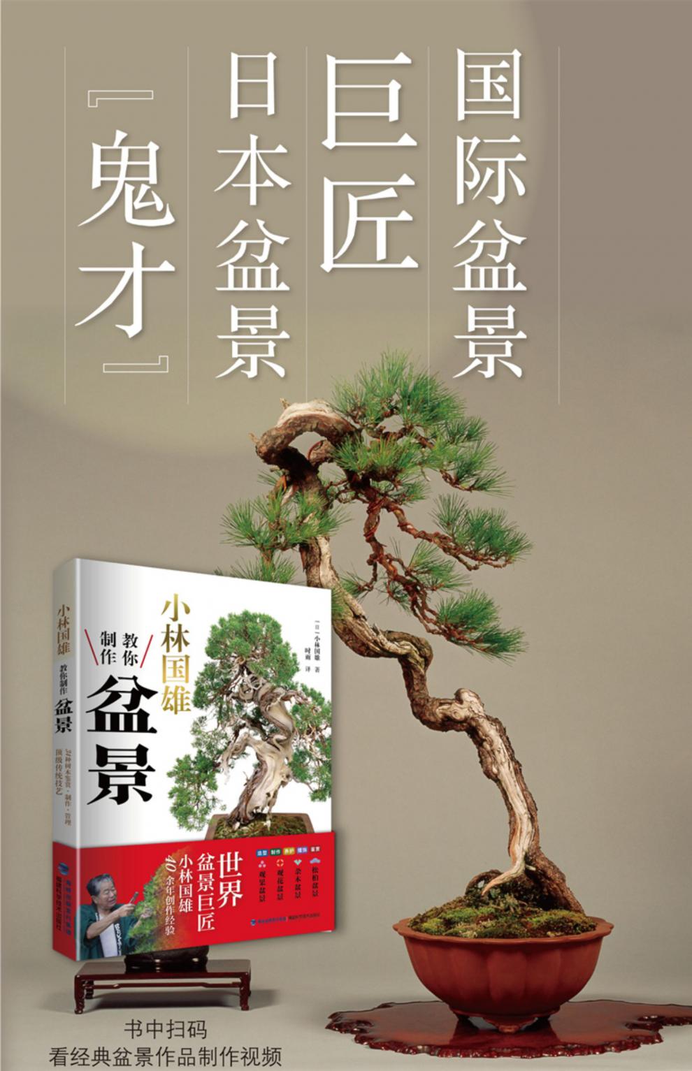 《【坤哥玩花卉】推荐 小林国雄教你制作盆景 附制作视频 盆景鉴赏