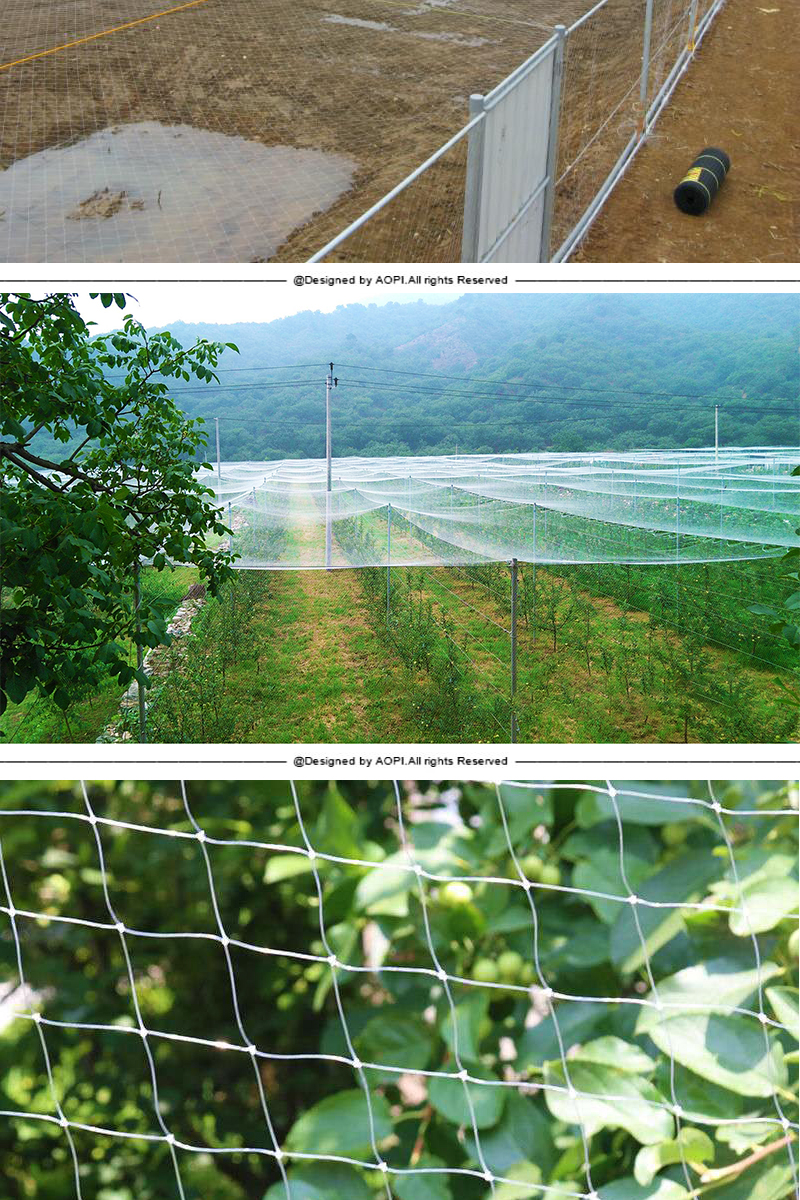 卓宸防鸟网果园葡萄樱桃大棚阳台果树防鸟用网鱼塘养殖天网尼龙网户外