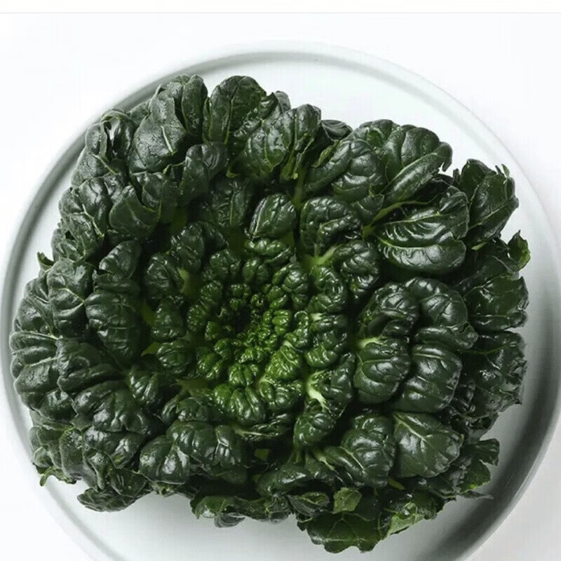 乌塌菜现发常熟小八叶塌菜青菜黄心菜千叶菜黑油白菜火锅好配菜新鲜