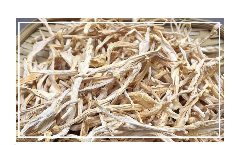 海鲜菇丝菌菇干剪根不开伞干货500g古田好吃海鲜菌菇干煲汤食材海鲜菇