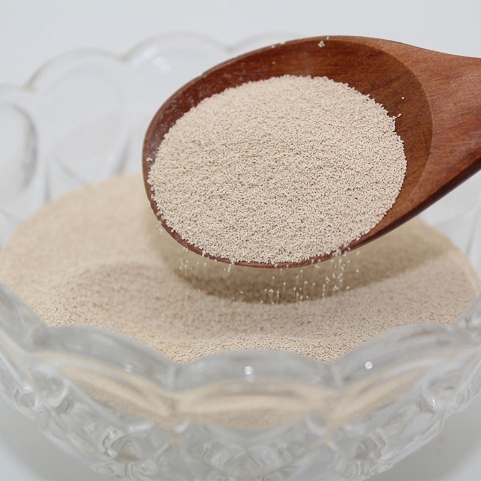 5折国光高活性干酵母500g20整箱即发酵母粉包子馒头烧饼发酵商用家庭