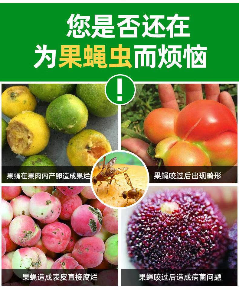 瓜果实蝇诱粘剂针蜂果实蝇引诱剂灭果蝇杀虫剂果蝇剂诱蝇神器 450m诱