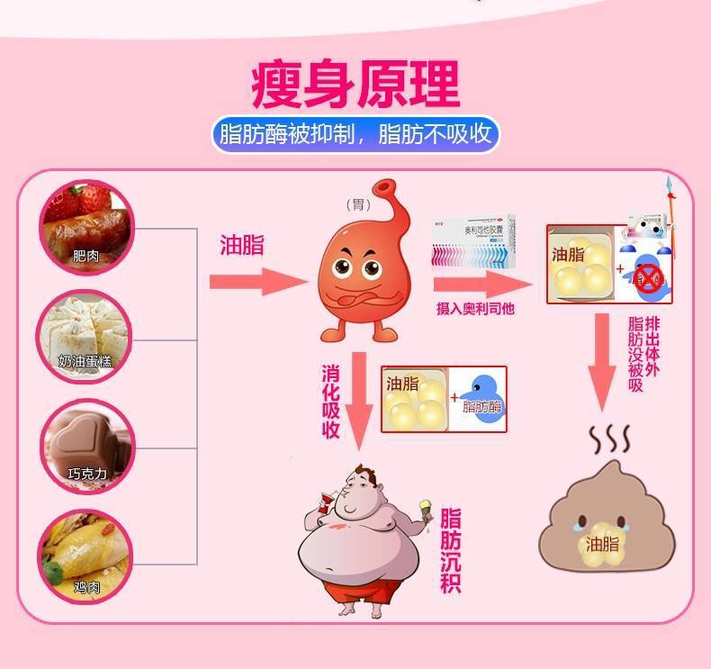 舒尔佳奥利司他胶囊24粒排油减肥药男女瘦腰肚子减肥药非赛乐赛 5盒装