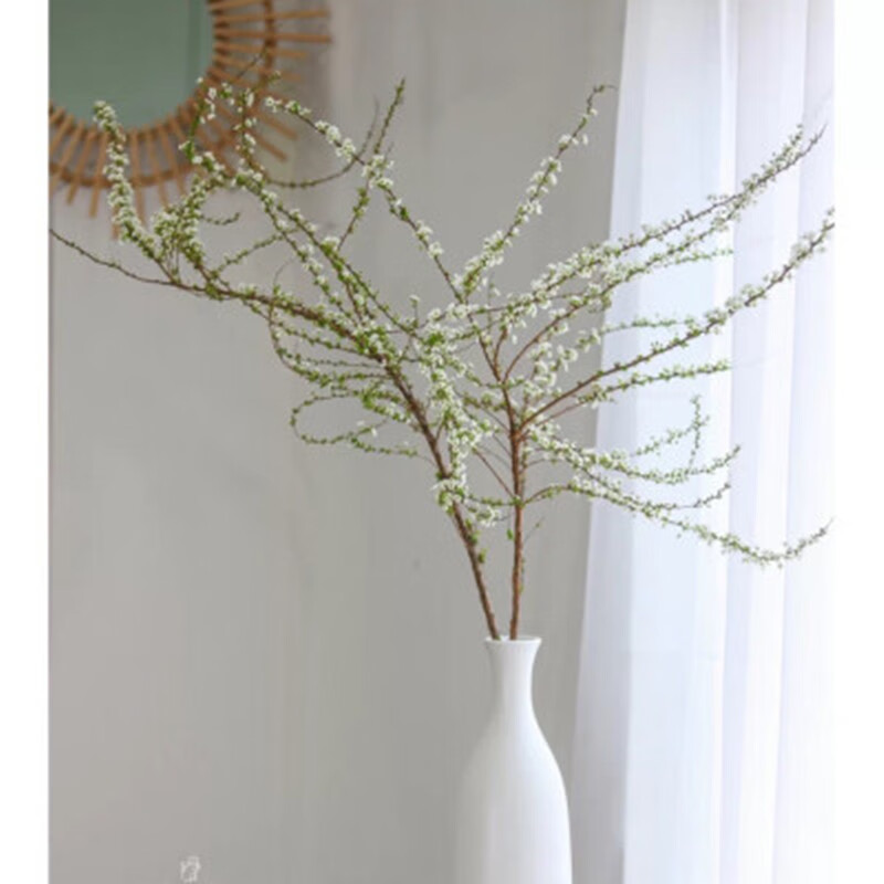 雪柳干支水插花雪柳鲜花喷雪花珍珠梅绣线菊z1干支雪柳5支80厘米不含